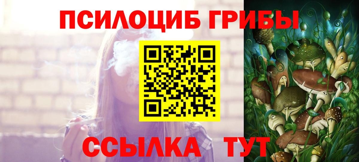 Псилоцибиновые грибы прущие грибы  Вход с VPN  наркошоп  Дербент 