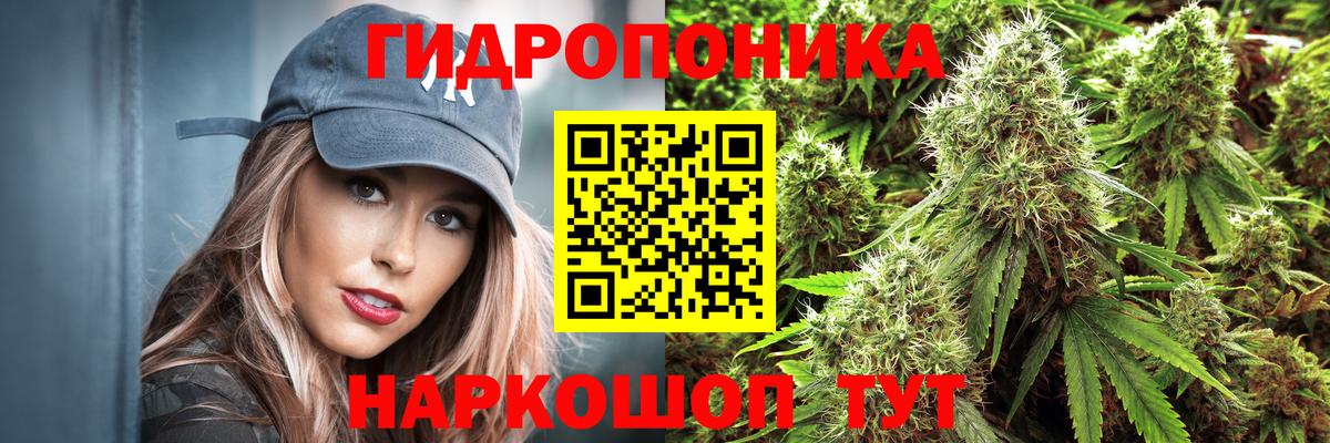 Конопля SATIVA & INDICA Дербент
